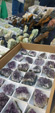 XII Mesa de Intercambio de MInerales de Alicante