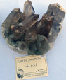XII Mesa de Intercambio de MInerales de Alicante