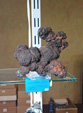 INTERMINERAL ZARAGOZA 2025. XXIX Feria de Minerales, Fósiles y Gemas