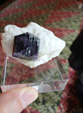 INTERMINERAL ZARAGOZA 2025. XXIX Feria de Minerales, Fósiles y Gemas