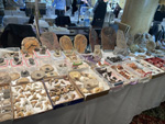 INTERMINERAL ZARAGOZA 2025. XXIX Feria de Minerales, Fósiles y Gemas