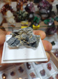 INTERMINERAL ZARAGOZA 2025. XXIX Feria de Minerales, Fósiles y Gemas