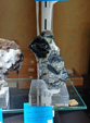 INTERMINERAL ZARAGOZA 2025. XXIX Feria de Minerales, Fósiles y Gemas