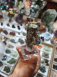INTERMINERAL ZARAGOZA 2025. XXIX Feria de Minerales, Fósiles y Gemas