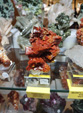 INTERMINERAL ZARAGOZA 2025. XXIX Feria de Minerales, Fósiles y Gemas