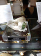INTERMINERAL ZARAGOZA 2025. XXIX Feria de Minerales, Fósiles y Gemas