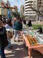 XXVIII Fira de Minerals de Castelló