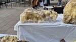 XXVIII Fira de Minerals de Castelló