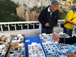 XIII Mesa de Intercambio de Minerales y Fósiles de Alicante