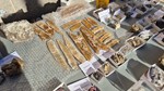 XIII Mesa de Intercambio de Minerales y Fósiles de Alicante