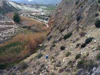 20 Marzo 2008