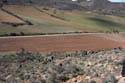 27 Marzo 2010 - LOS ARAGONITOS DE LOS ALREDEDORES DE SIGÜENZA