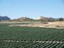 26 Noviembre 2011 - Agramón Albacete