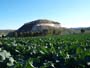 26 Noviembre 2011 - Agramón Albacete