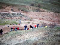 24 Noviembre 2012 - Luzón y Medinaceli