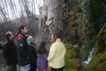 24 Febrero 2013