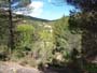 Montalban y cañada de Verich