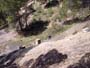 Montalban y cañada de Verich