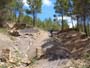 Montalban y cañada de Verich