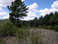 21 Junio 2014 - El Horcajo. Ciudad Real