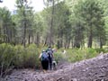 21 Junio 2014 - El Horcajo. Ciudad Real