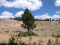 21 Junio 2014 - El Horcajo. Ciudad Real