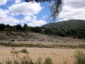 21 Junio 2014 - El Horcajo. Ciudad Real