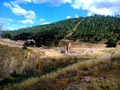 21 Junio 2014 - El Horcajo. Ciudad Real