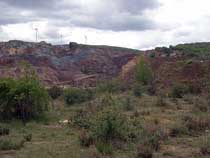 24 Mayo 2014