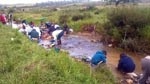 26 Abril 2014 - Bateo de Oro