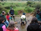 26 Abril 2014 - Bateo de Oro
