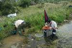 24-26 Abril 2015 - Bateo de oro al arroyo Fresnedoso