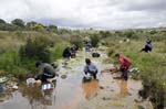 24-26 Abril 2015 - Bateo de oro al arroyo Fresnedoso