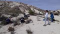 19, 20 Noviembre 2016 - Saltador, Lora, Minicas, Zarzadilla de totana y Ulea Murcia