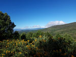 Sierra Norte. El puerto Cardoso - 25