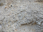 2 Noviembre 2019 - Excusión de mineralogía a Ambasaguas. La Rioja