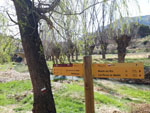 Montalban. Teruel - 30