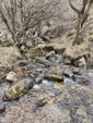 SOMOSIERRA