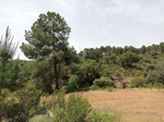 EL HORCAJO
