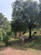 EL HORCAJO