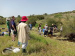 Arroyo Fresnedoso