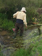 Arroyo Fresnedoso