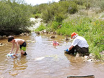 Arroyo Fresnedoso