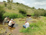 Arroyo Fresnedoso