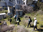 29 marzo 2025 - 29 Marzo 2024