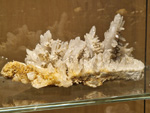GMA. Museo Nacional de Ciencias Naturales